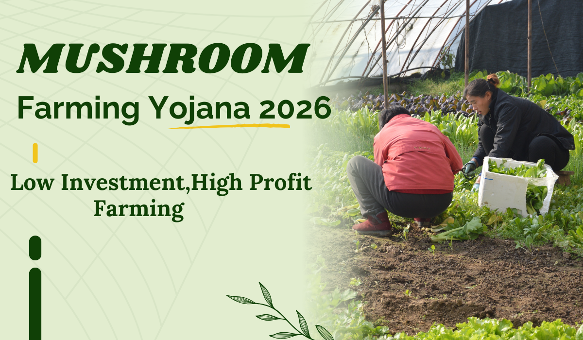 Mushroom Farming Subsidy Yojana 2026