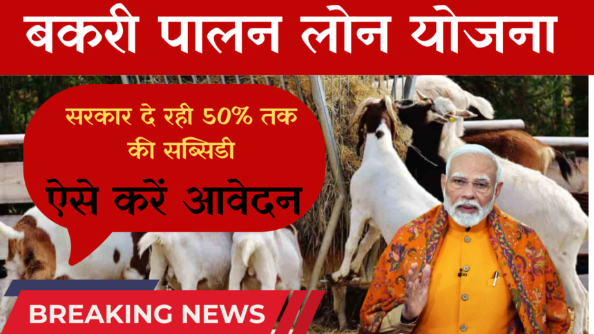 Goat Farming Loan Scheme 2026